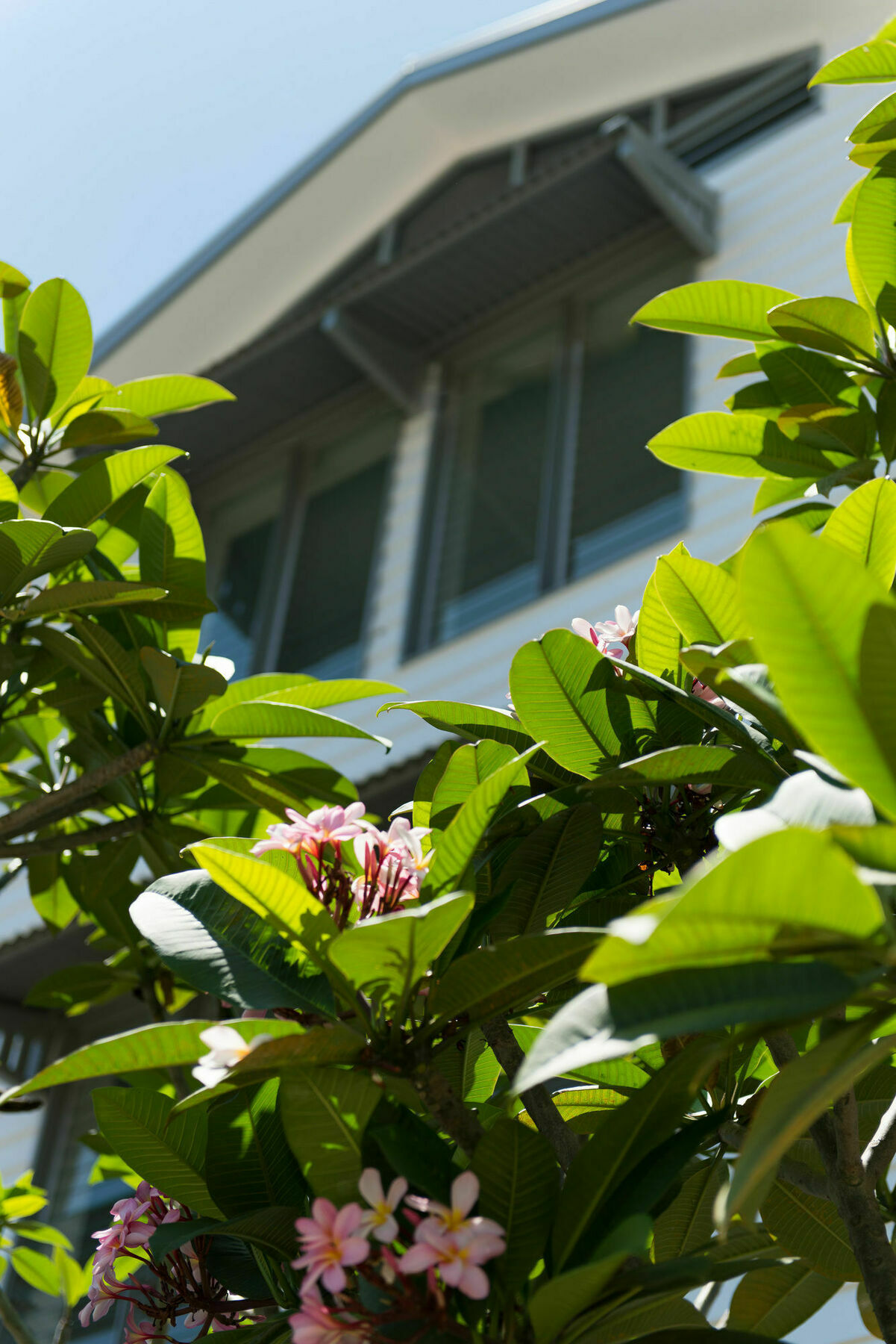 Heart Hotel And Gallery Whitsundays Airlie Beach Exterior foto