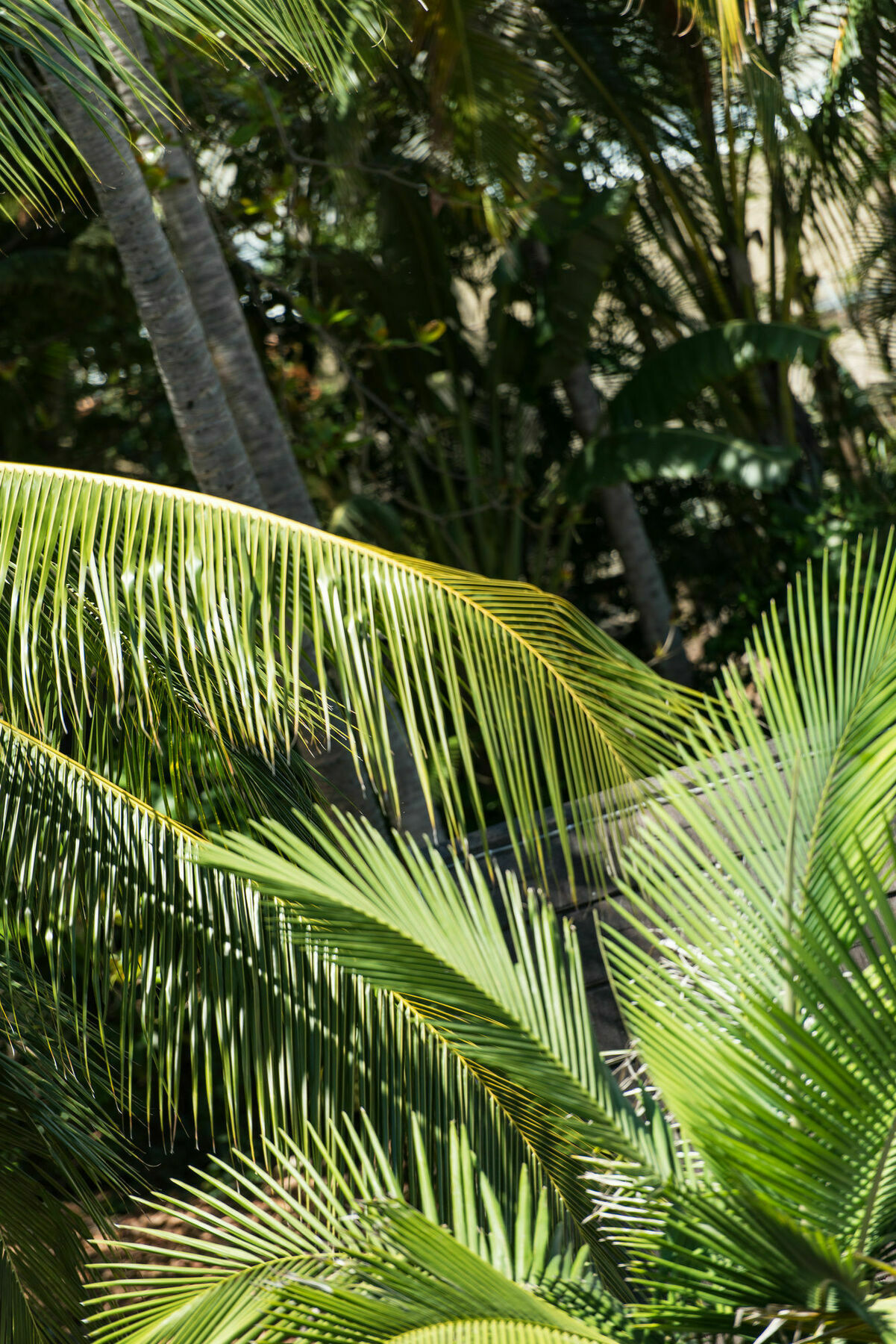 Heart Hotel And Gallery Whitsundays Airlie Beach Exterior foto