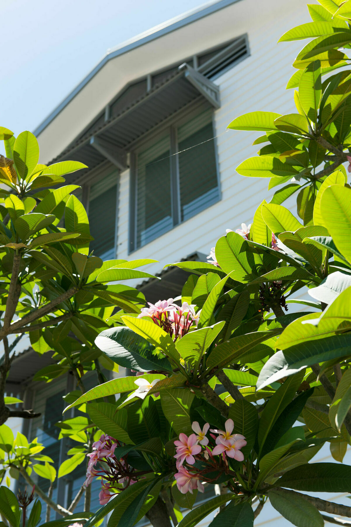 Heart Hotel And Gallery Whitsundays Airlie Beach Exterior foto